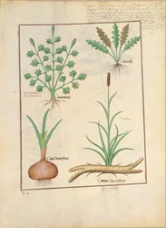 Illustration du 